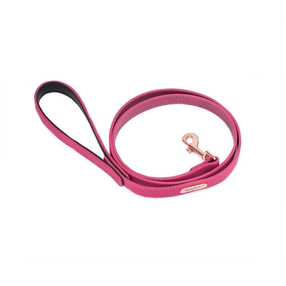 Zippy Paws Leather Vivid Collection Leash